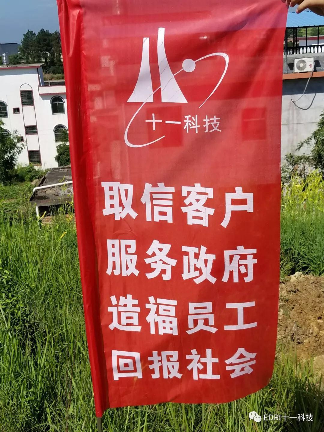 1530512003483497.jpg 4.jpg