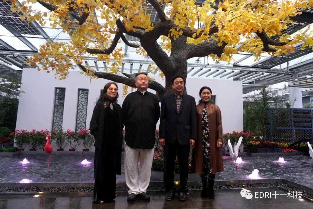 1539586810313899.jpg 8.jpg