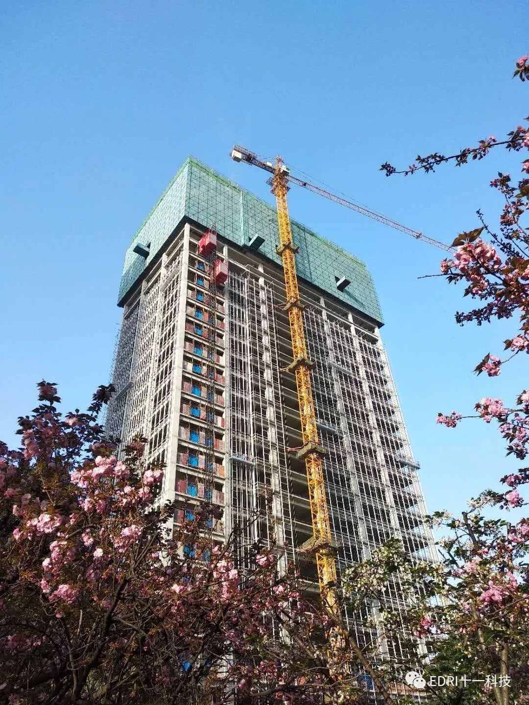 1555897733867873.jpg 3.jpg