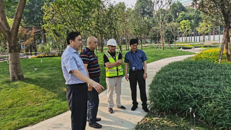 1594027030768113.jpg 1.jpg